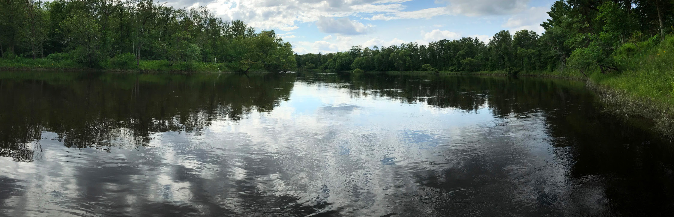 Shoreline within the Mississippi Headwaters Habitat Corridor.